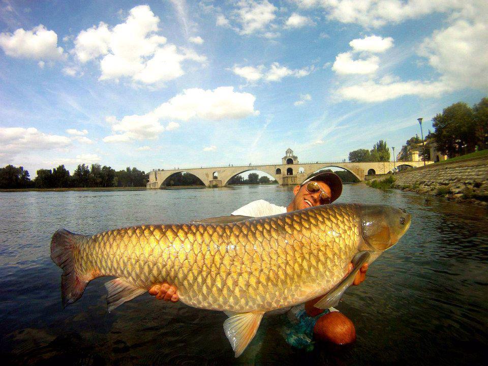  de pe net adunate - 524704603618032999341172447753n.jpg